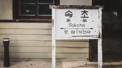 청년 세대, '임대주택이 충분하지 않다면' 내일을 포기할 수 없습니다