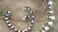 수학자와 학생 모두 설레는 파이 데이, 파이의 무한 매력에 빠져드는 특별한 축제
